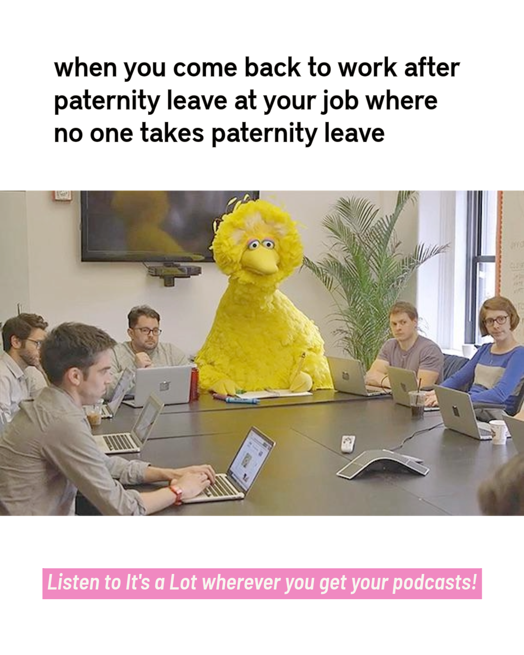 Pauly episode memes-3.png