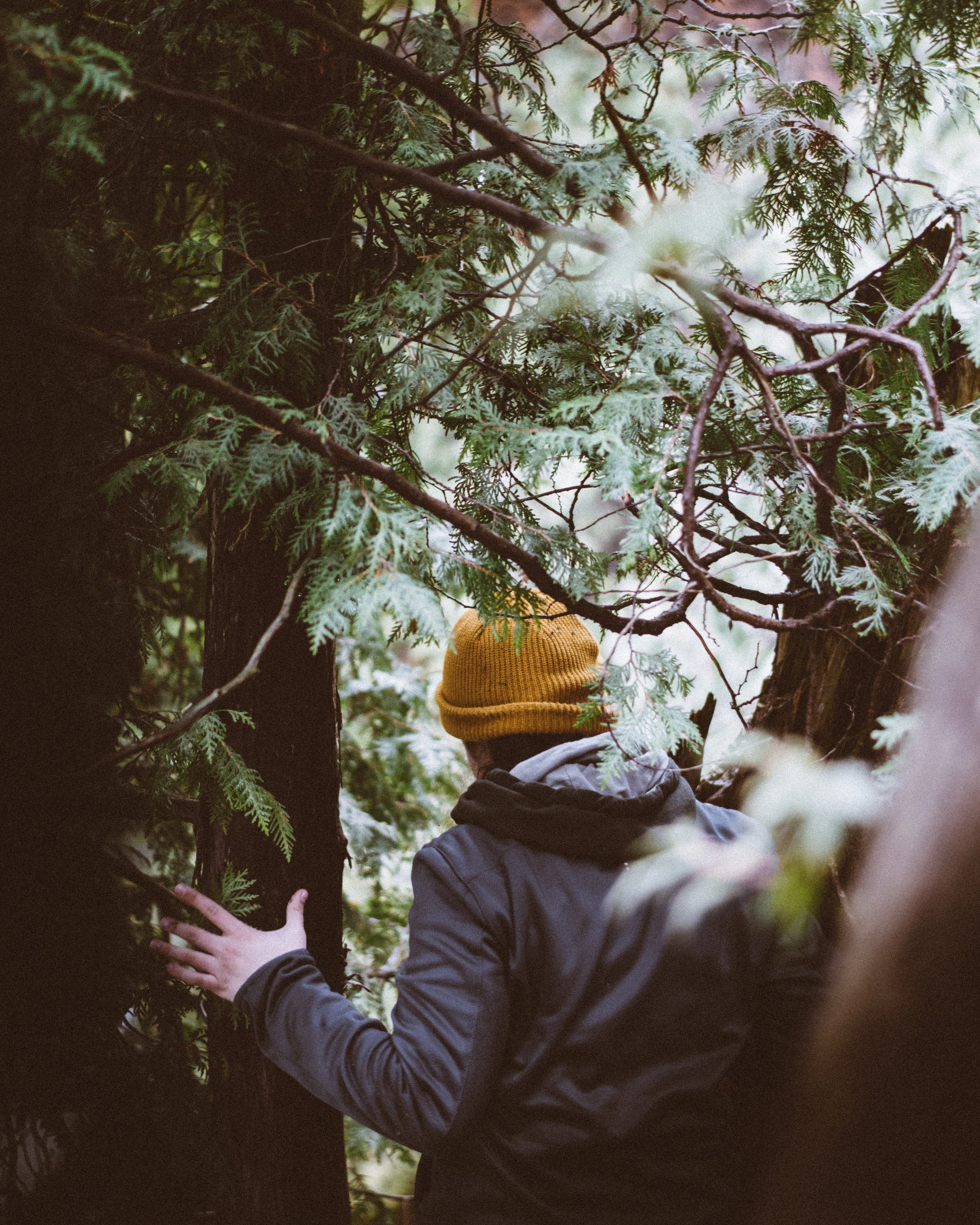 kyle-peyton-238334-unsplash.jpg