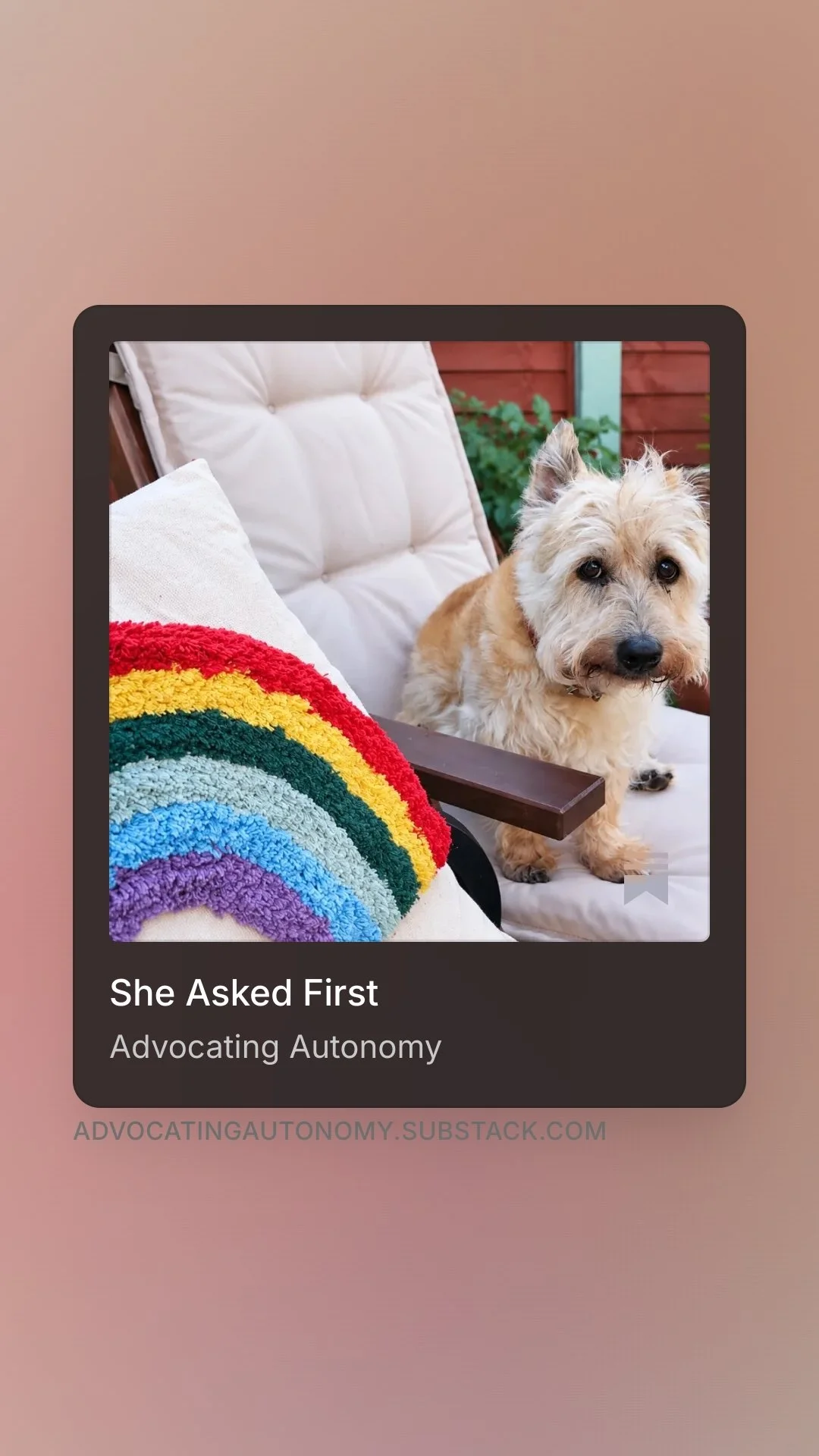 A reflection on consent, autonomy and what a dog taught me about asking first.