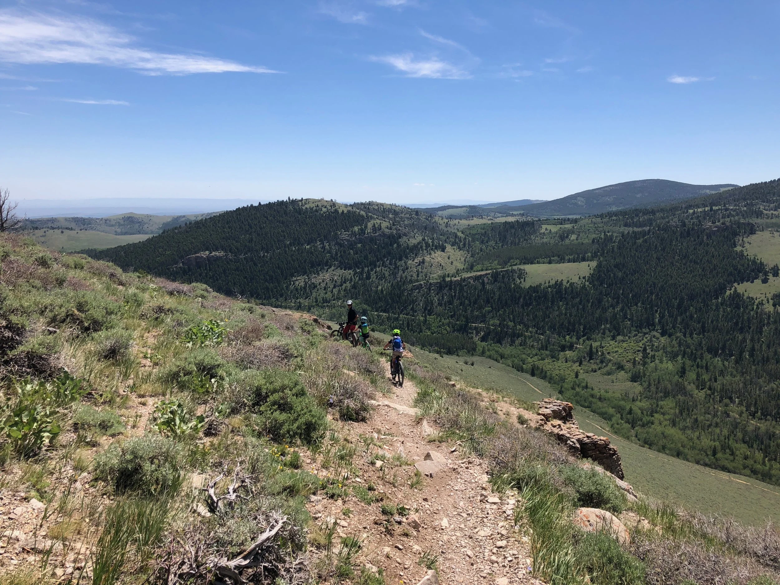 The start of the Brewer Trail