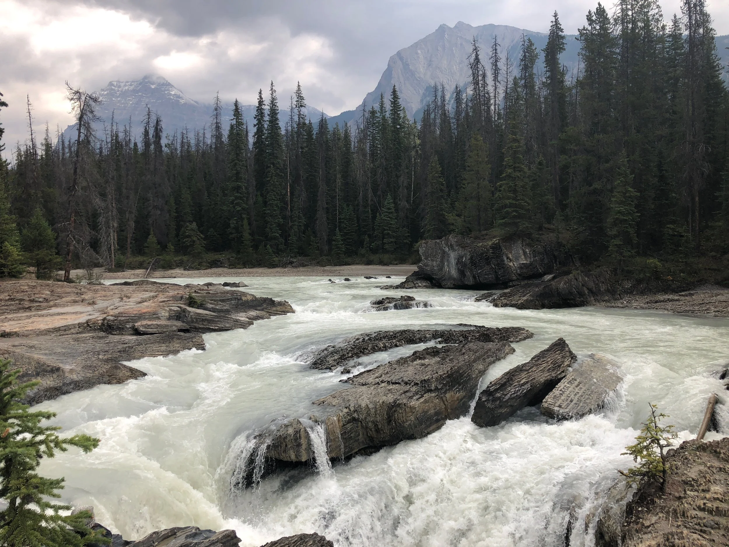 Kicking Horse natural Bridge