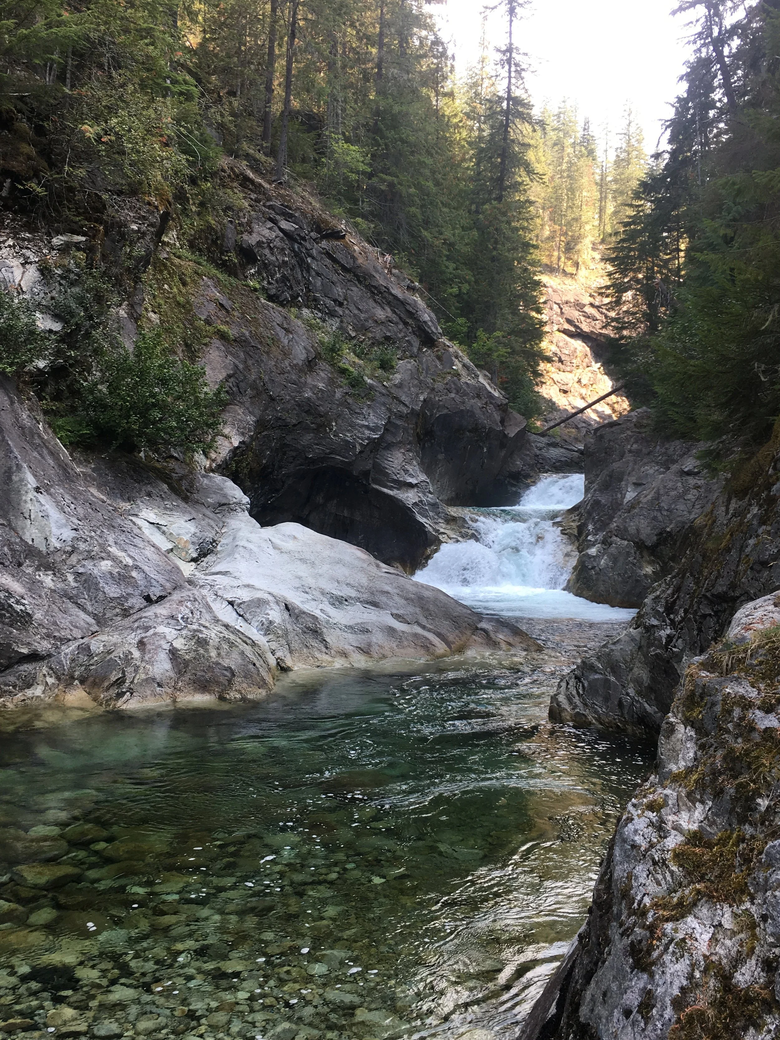 A pretty waterfall near the springs. The pool was filled with spawning salmon