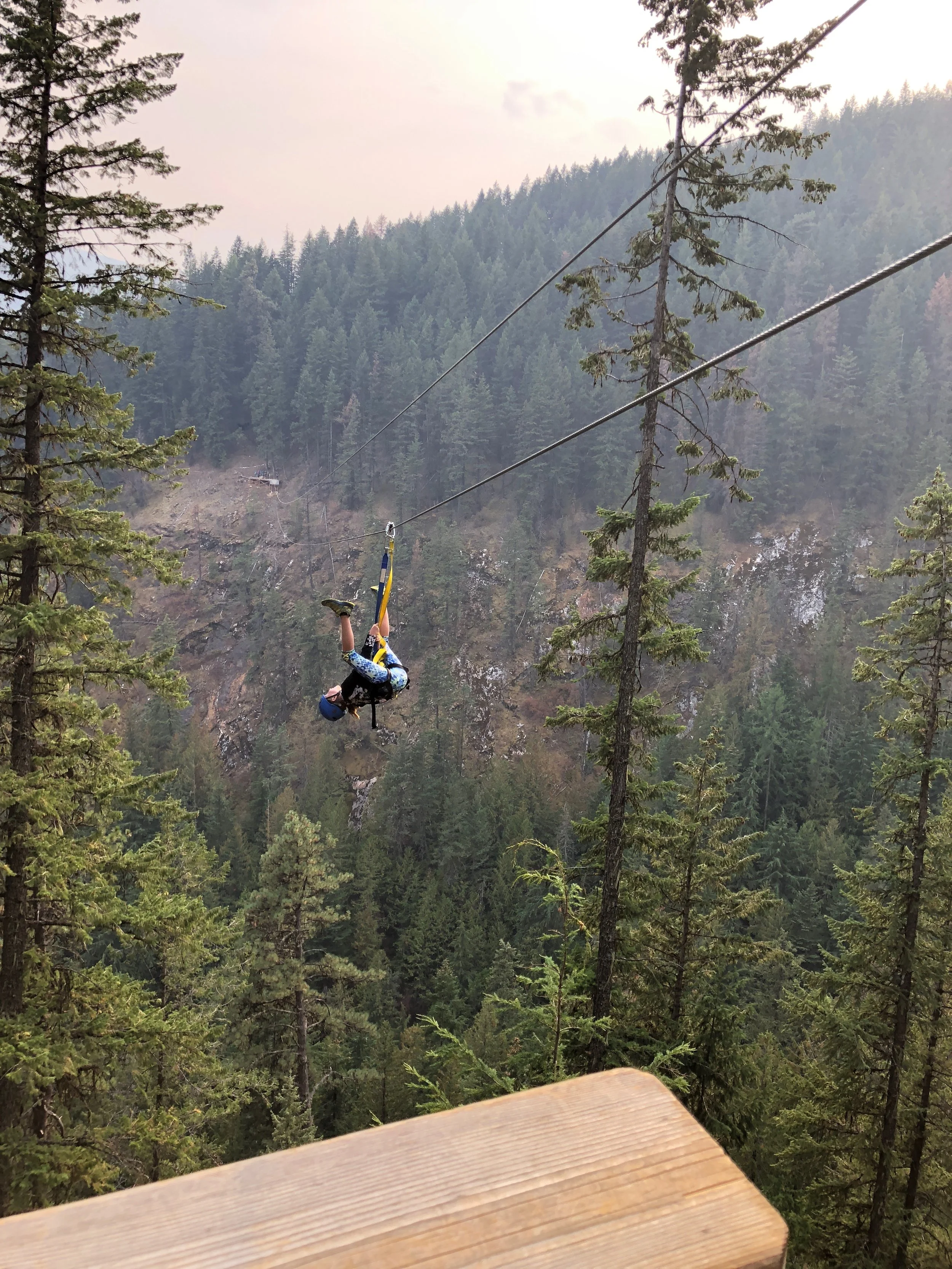 Ellie getting ready to dangle upside down and go hands free