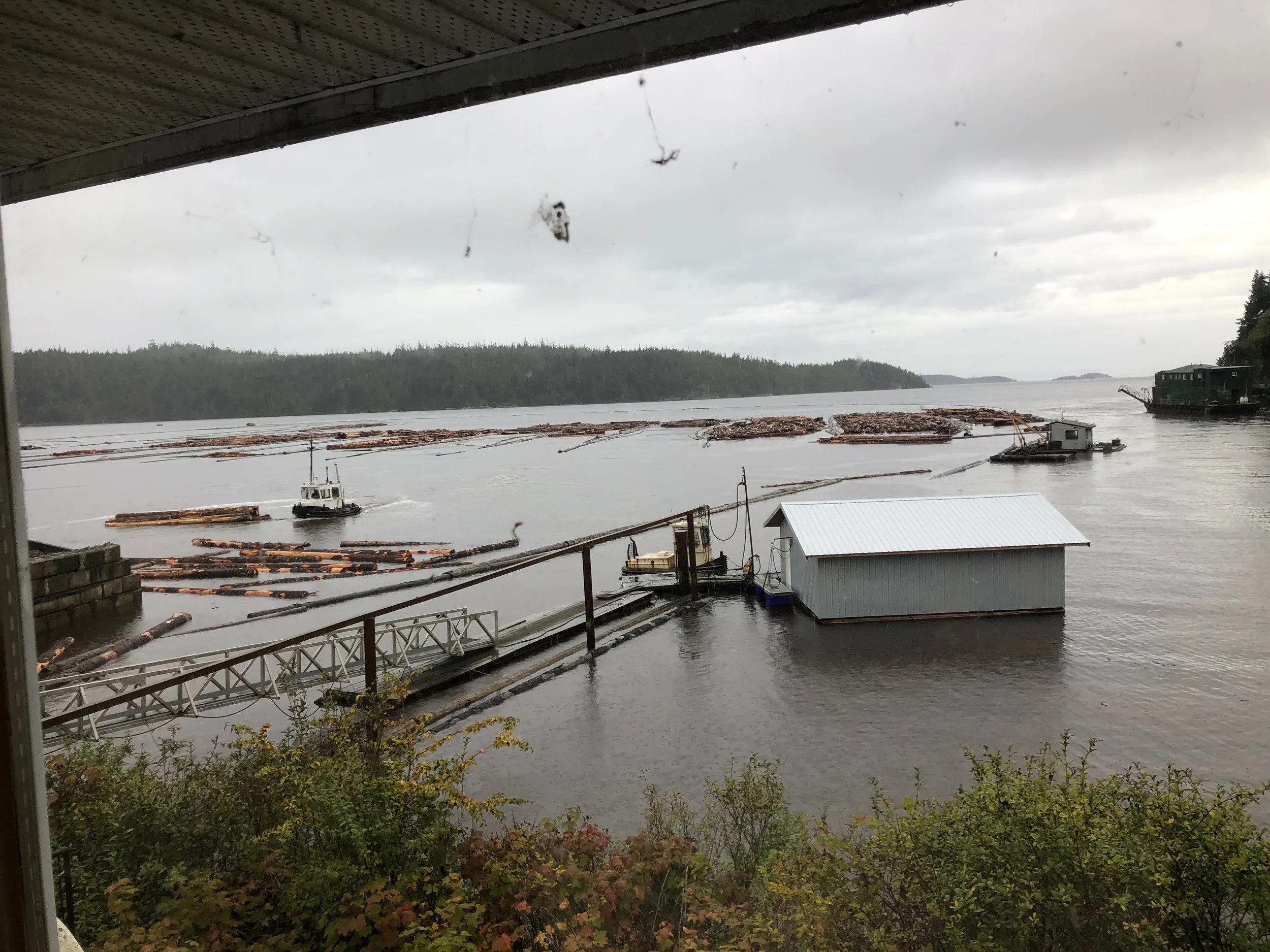The tugboat then pushes and places the logs into the holding sections for “pick up”. But the logs actually don’t get picked up, but dragged through the water to their final destination