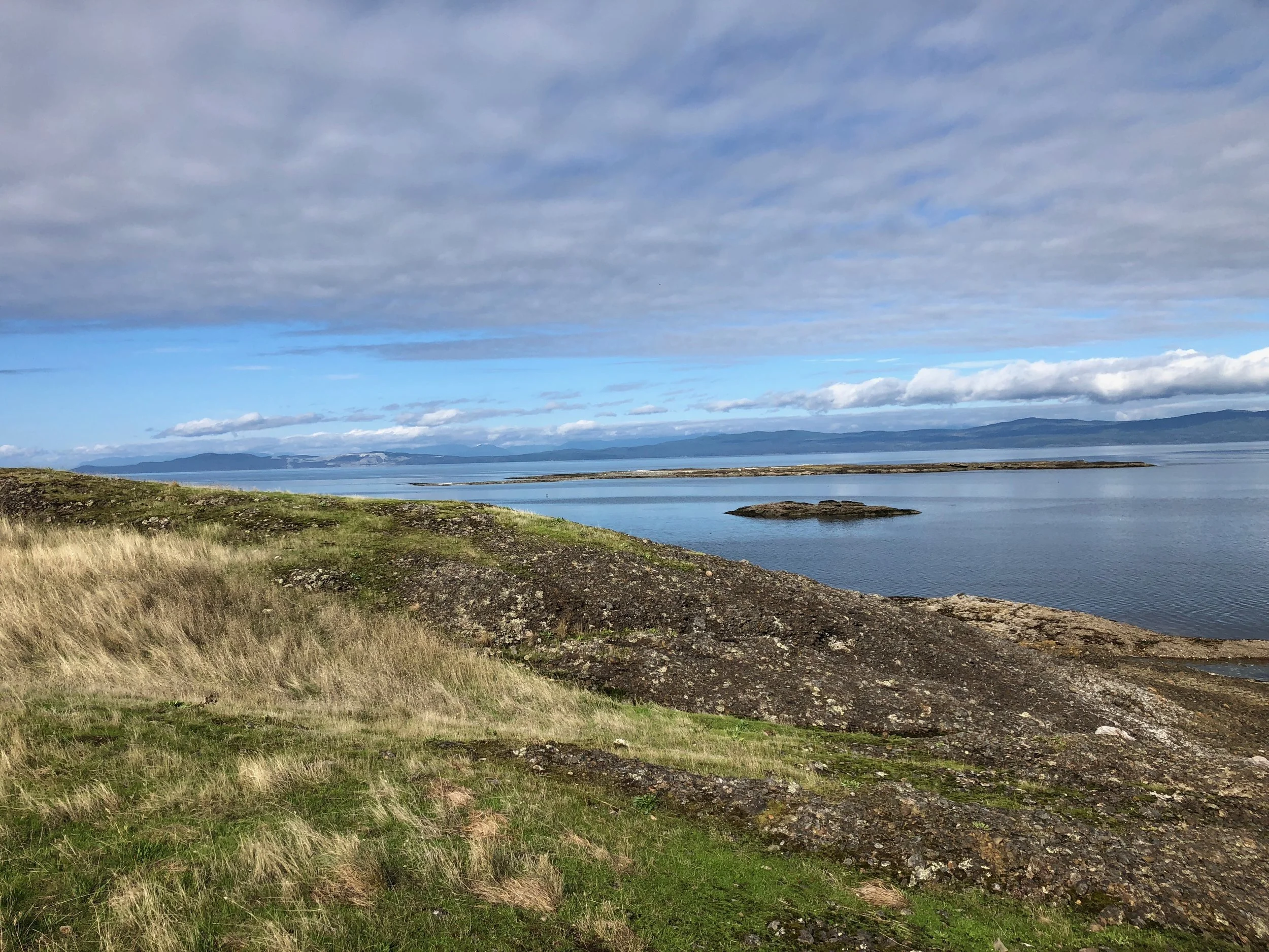 Along the Helliwell Trail we saw sea lions, seals, and bright purple and bright orange starfish