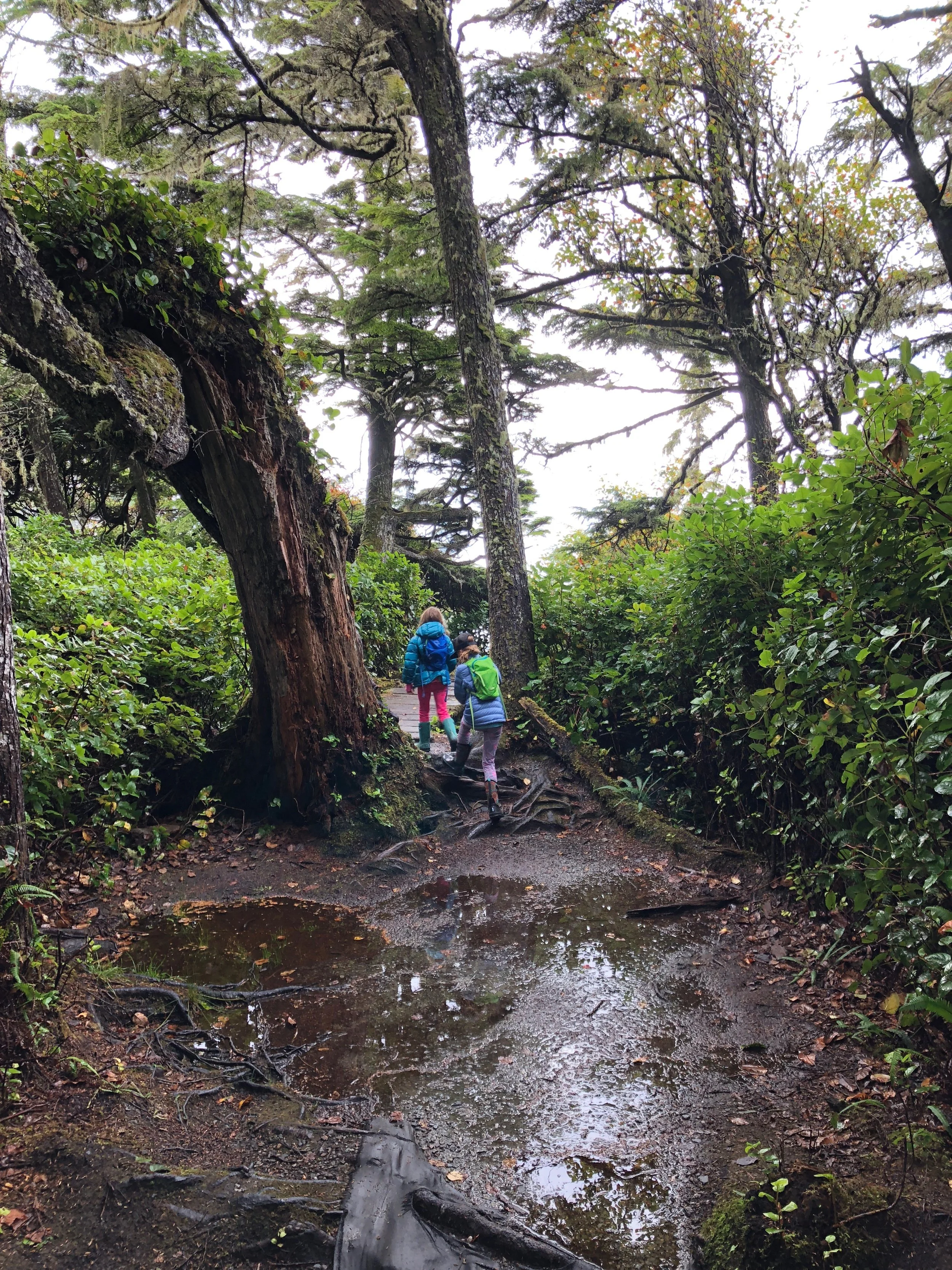 Hiking to the tide pools