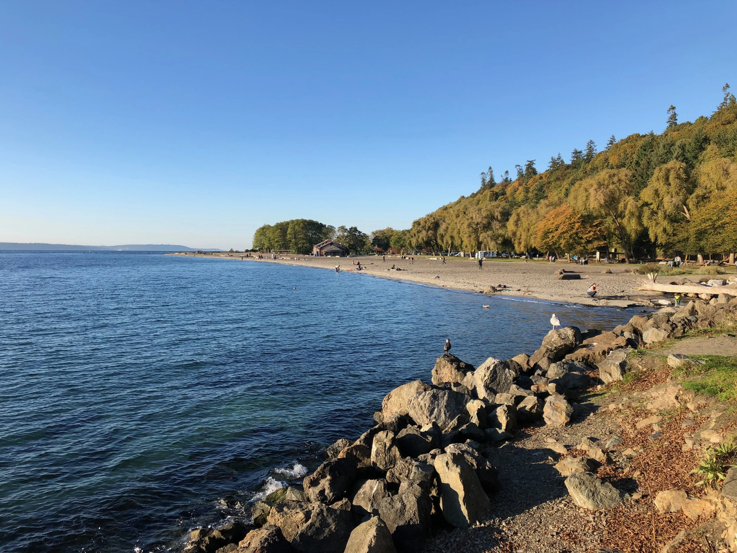 Golden Gardens Park