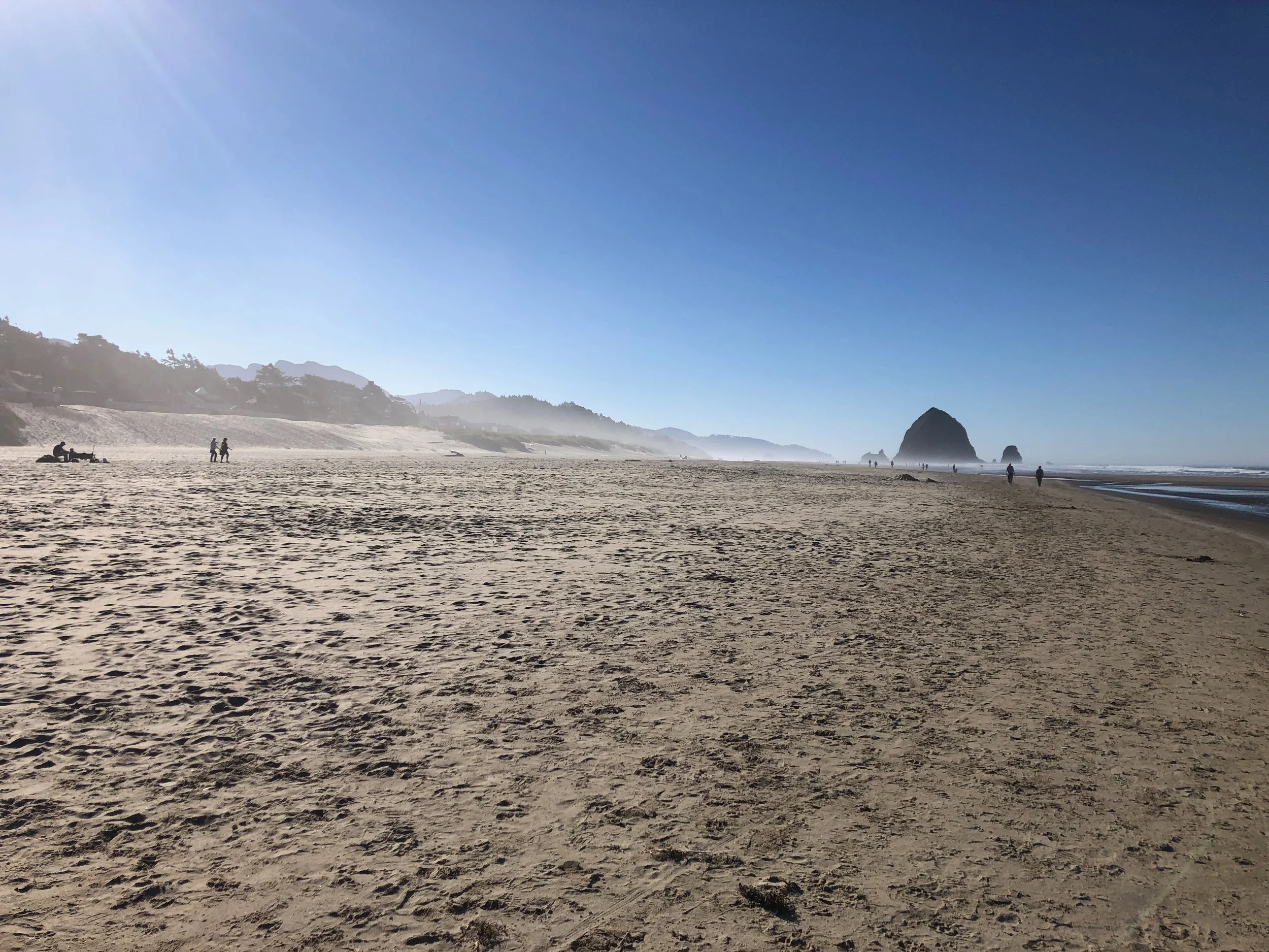 I loved the misty mornings on the beach