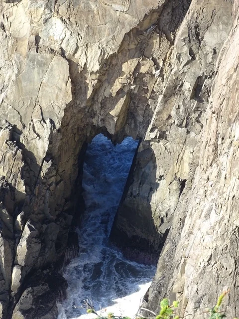 We love to find hearts in nature