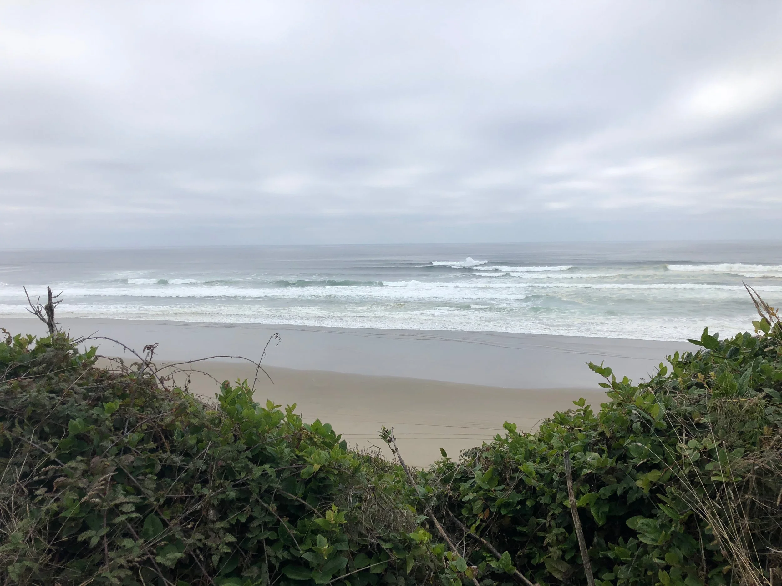 A pretty view along the drive to Pacific City