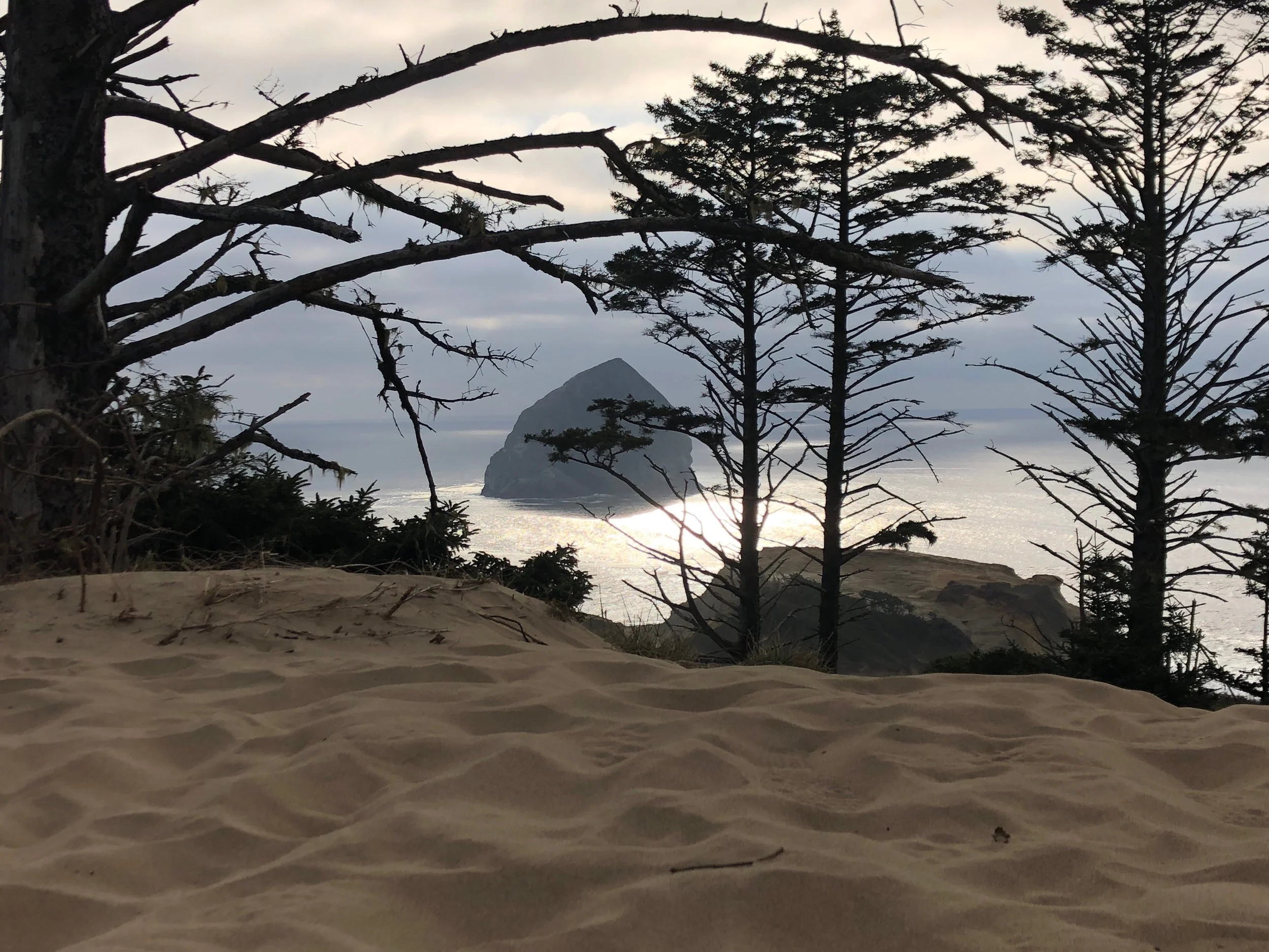 Looking out over the ocean from the dune