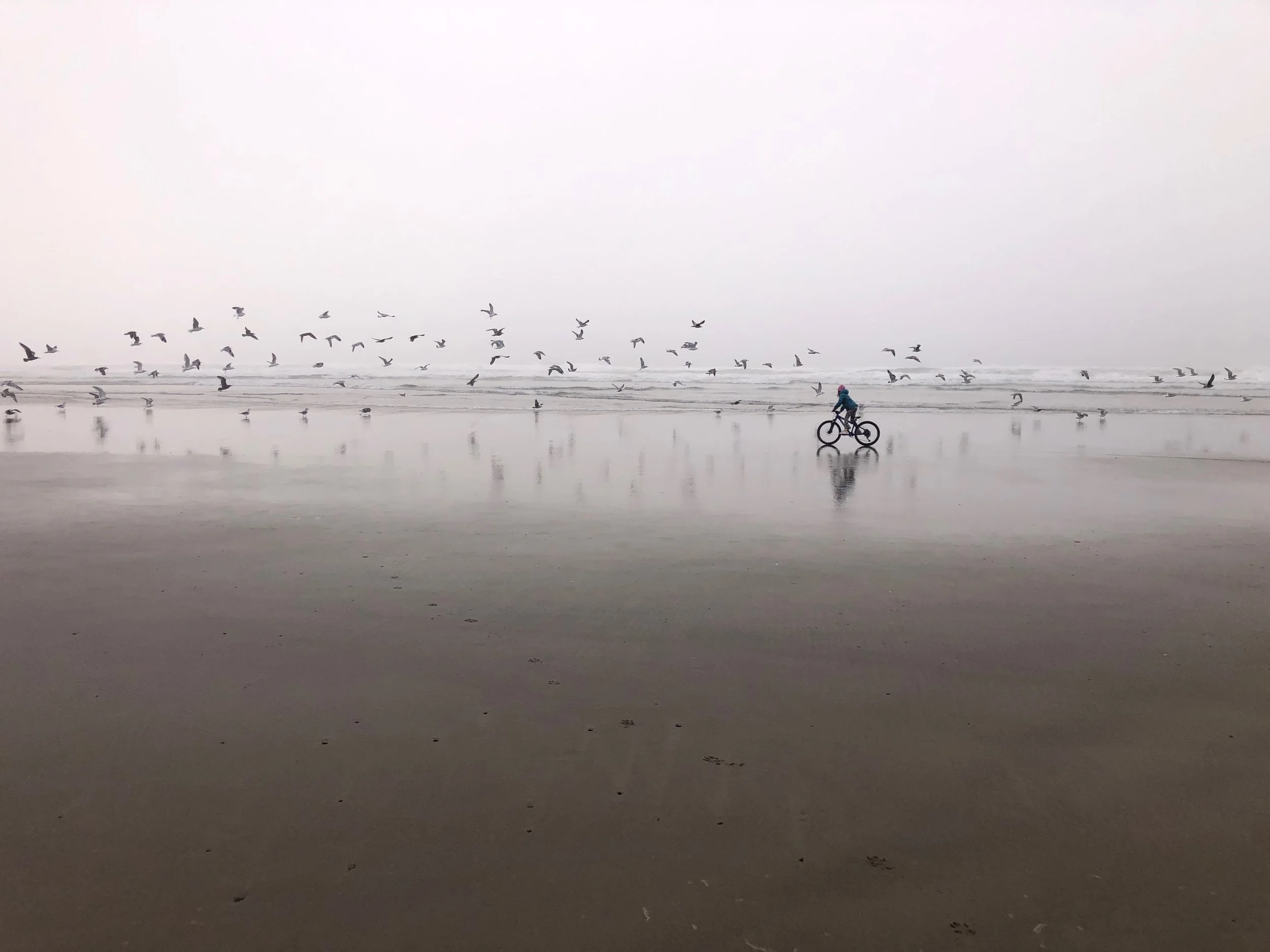 Isla and riding with birds