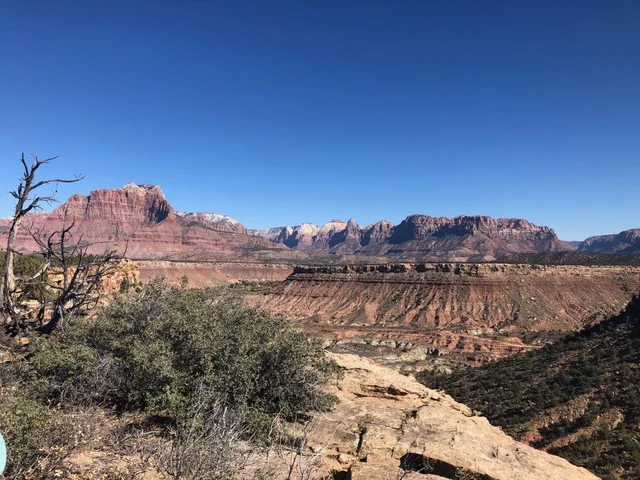 A view from the trail