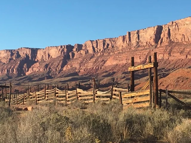 Old fence around the abandoned farm.