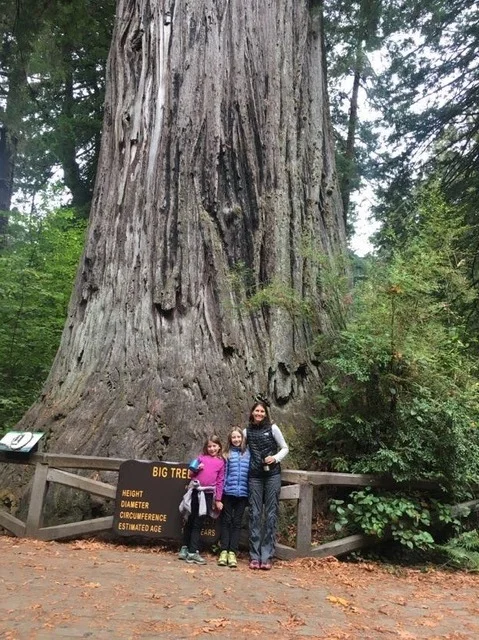 My ladies by the aptly named “Big Tree”