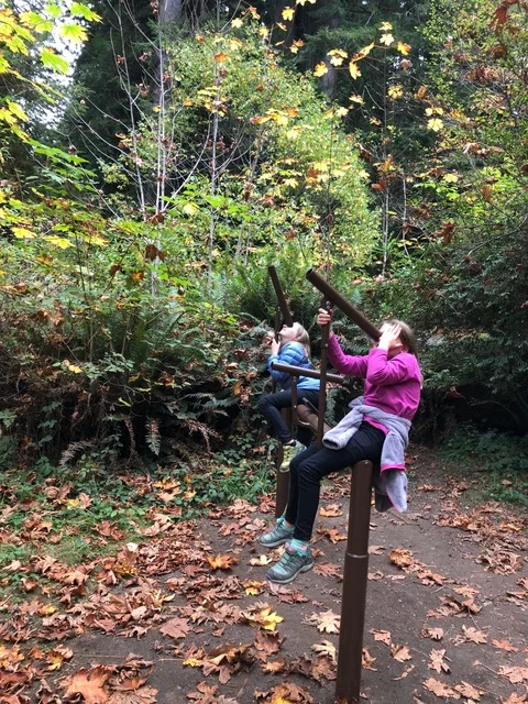 The girls looking though the spotting scopes to the tree tops