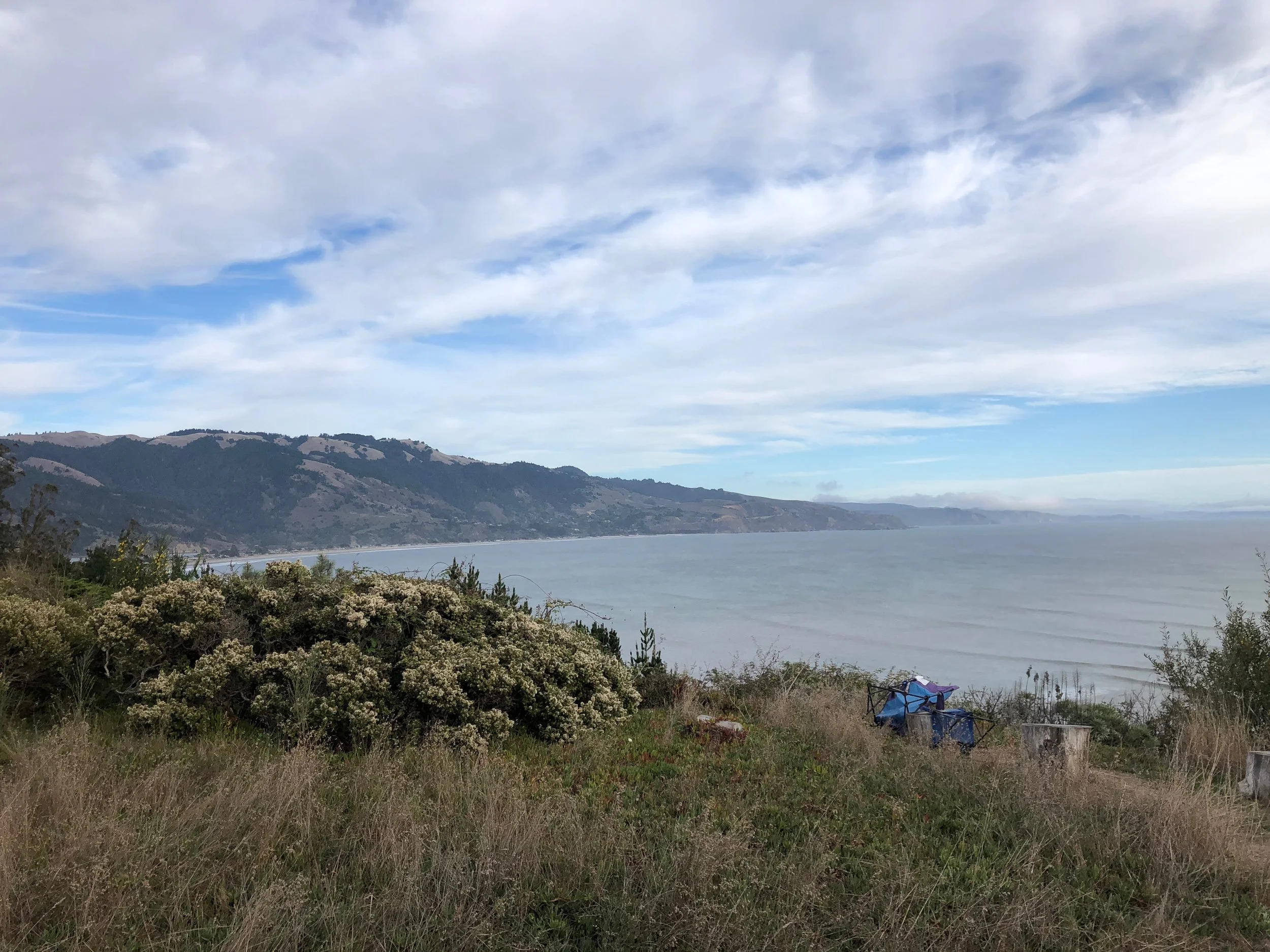 The view in Bolinas