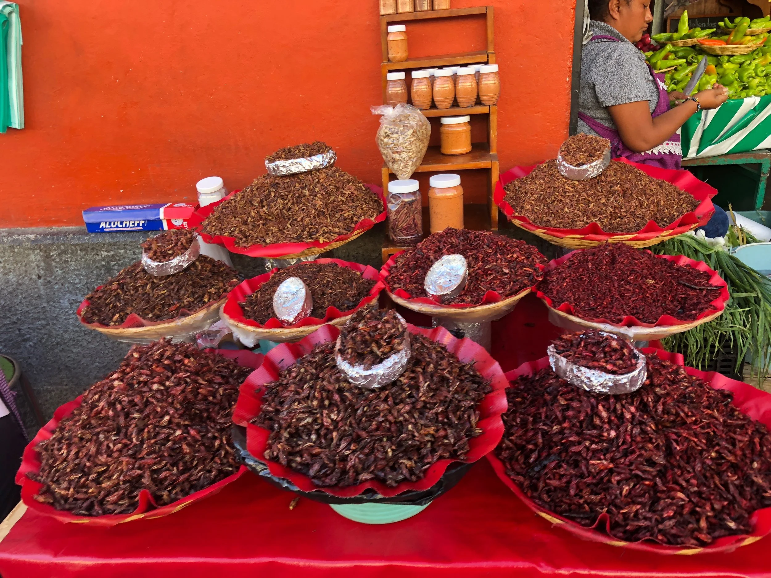 An array of “chapulines” (grasshoppers) for sale in varying sizes to munch on!