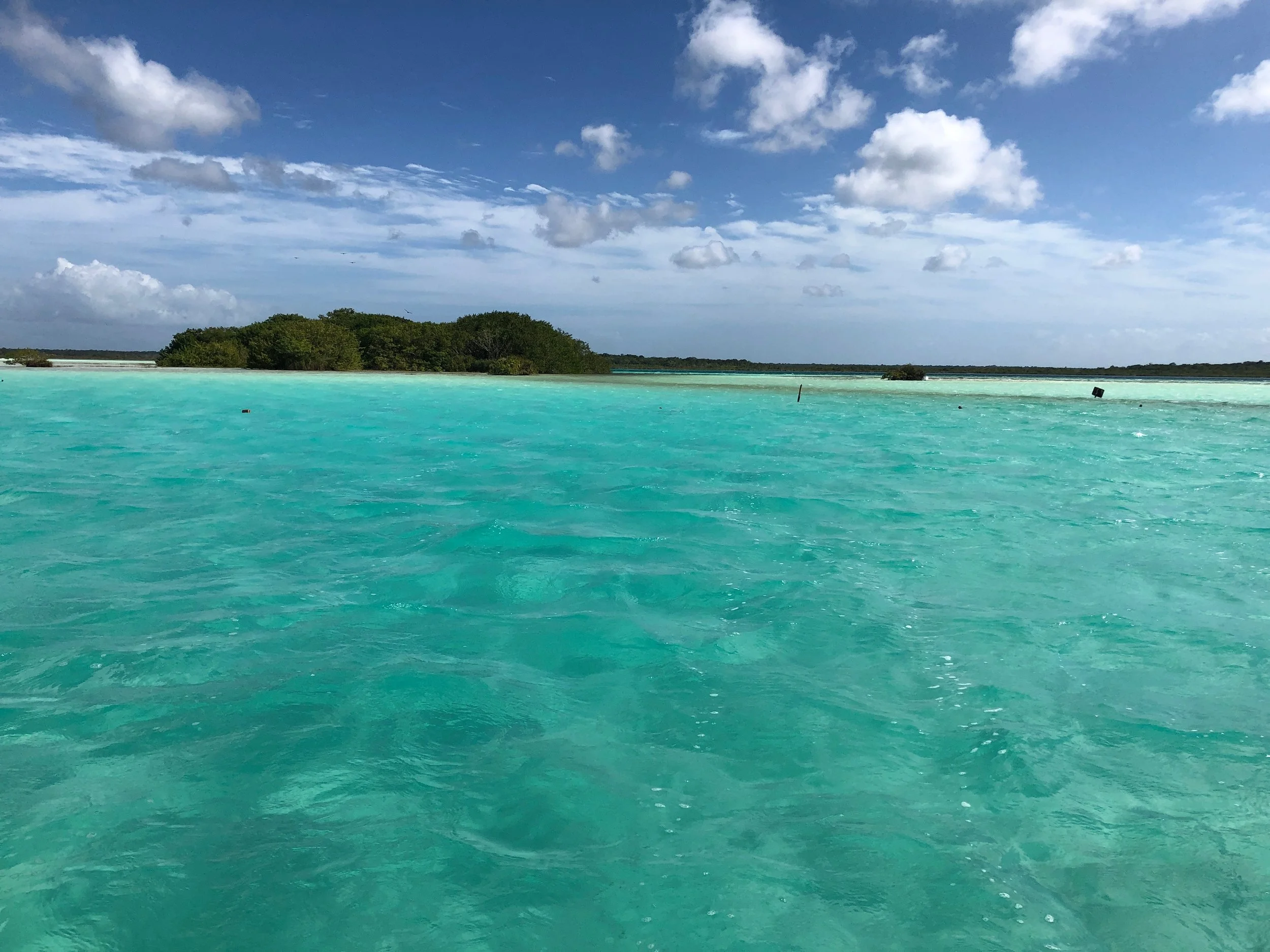 Our last stop, Bird Island