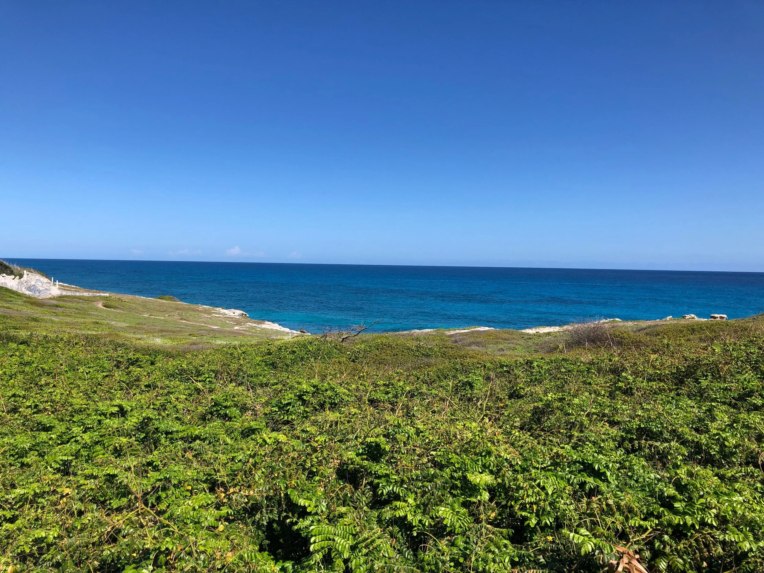 A view from the golf cart