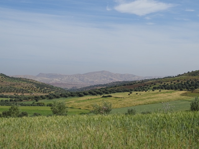 A view from the car leaving Fez