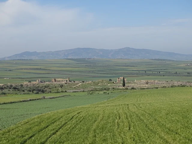 The Roman ruins of Volubilis
