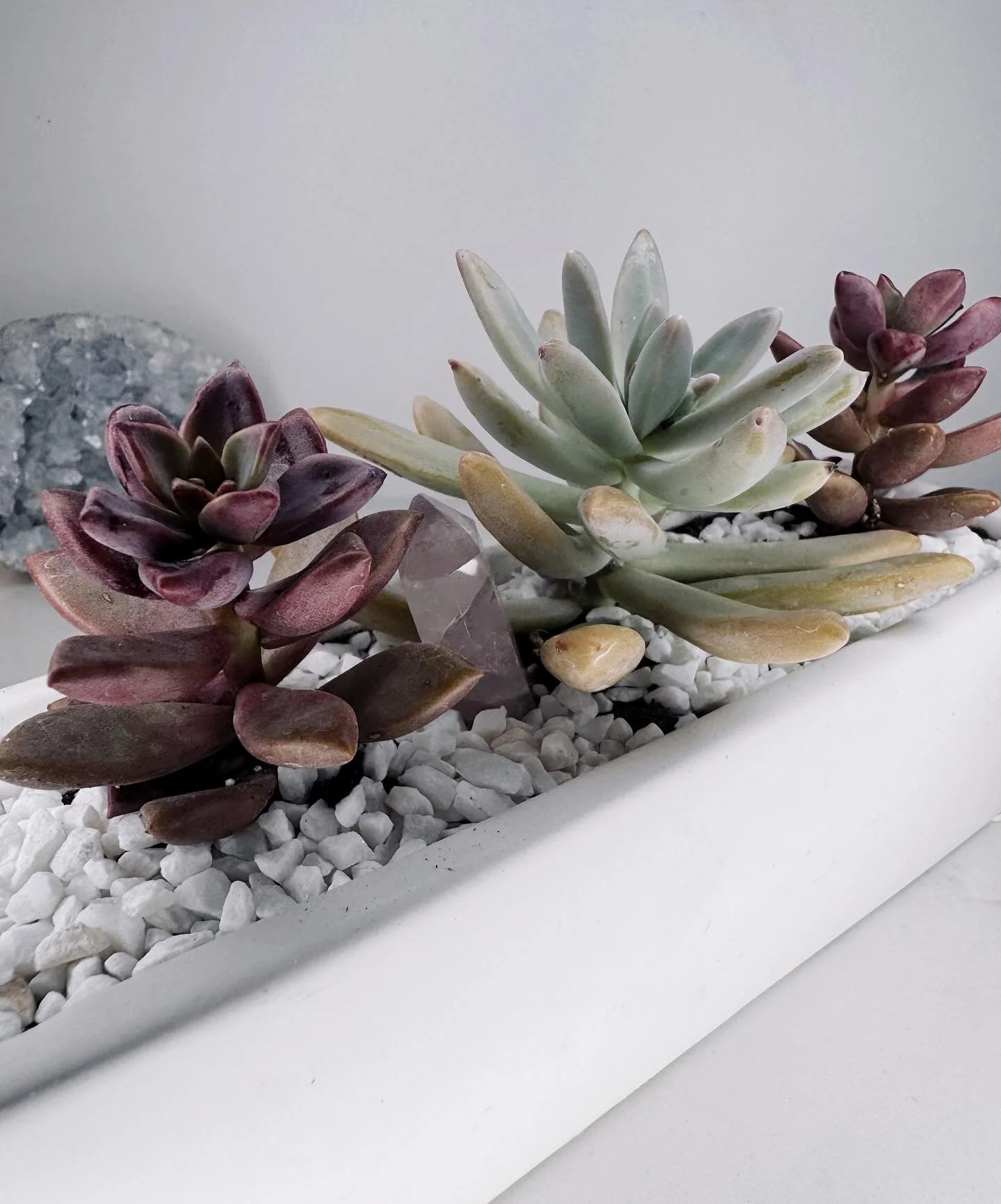 Fall vibes🍂 
-
-
-
#SupportLocalToronto #YorkRegionBusiness #YorkRegionMakers  #TorontoArtisan#VaughanMoms #MarkhamMoms #RichmondHillSmallBusiness#AuroraOntario #NewmarketOntario #MindfulLiving#crystalhealing #AuraCrystals #ZenVibes #SpiritualWellne