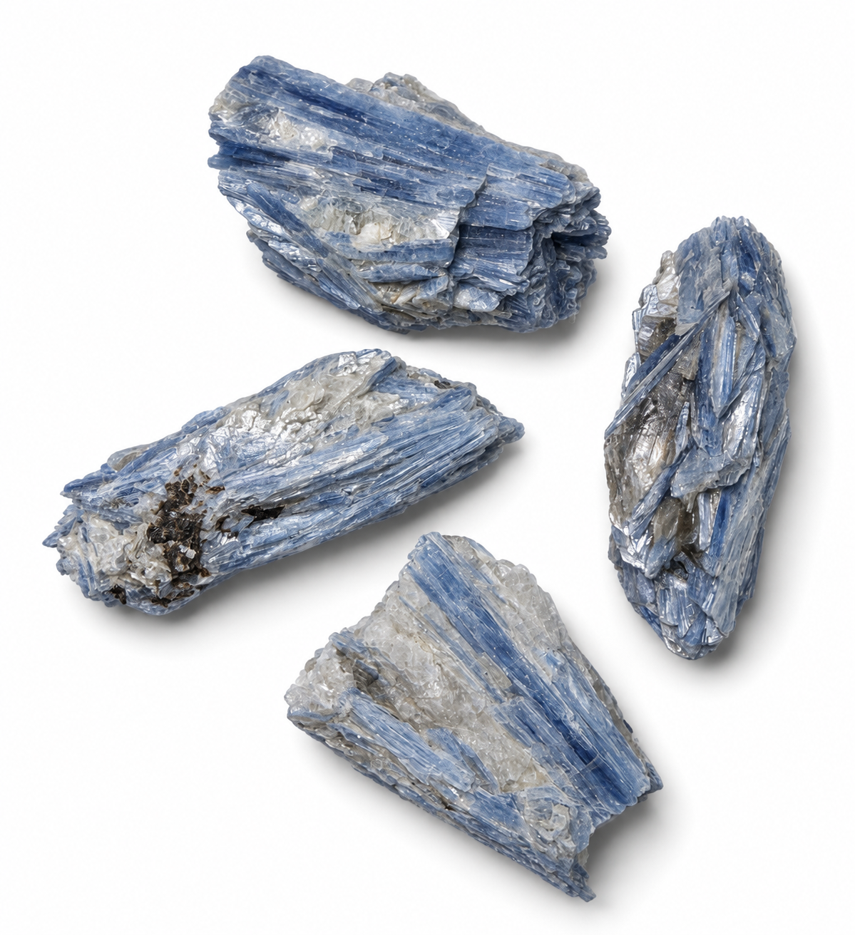 54B2088A-9DF9-4AA6-B81E-3CE23CC8B4DF.PNG