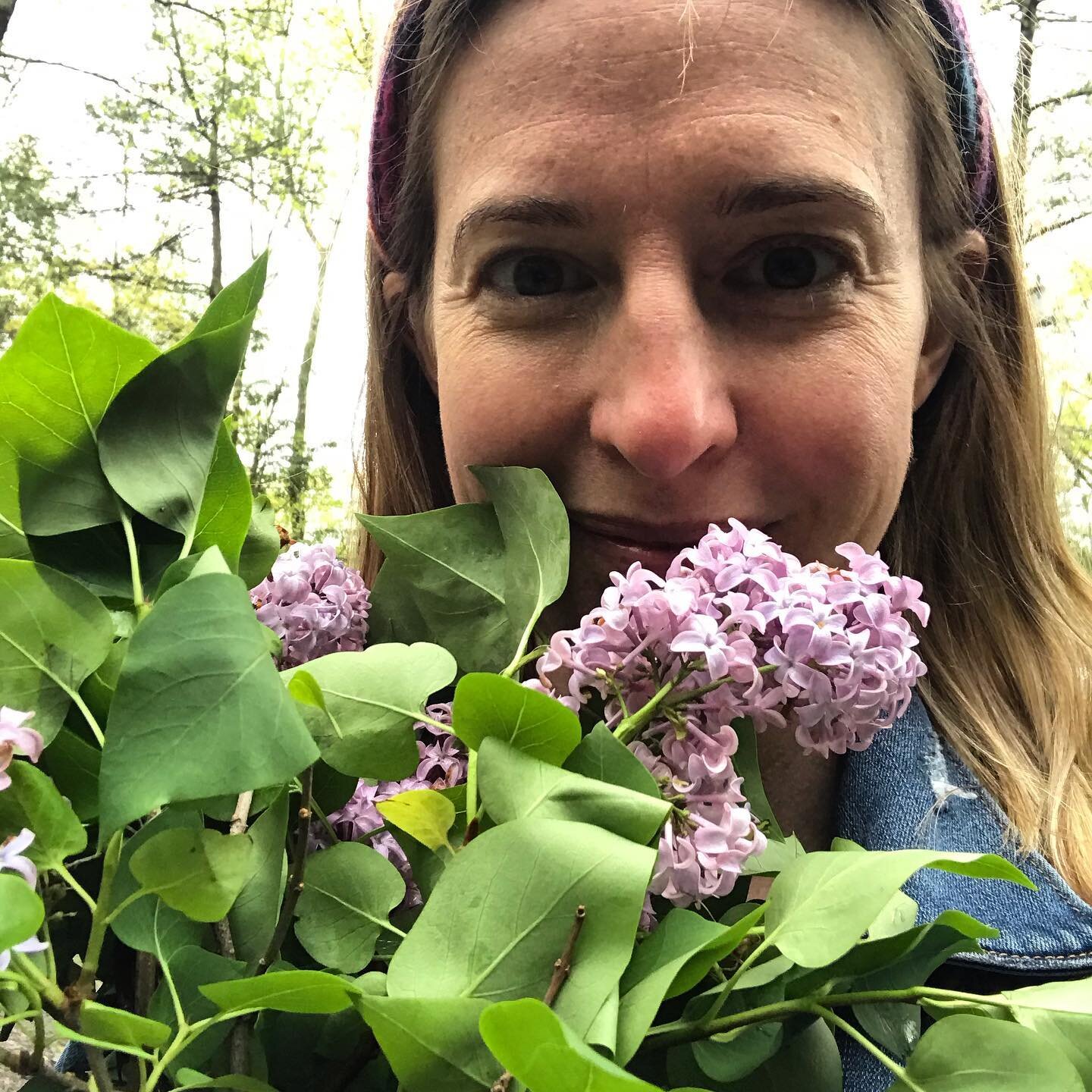 Been waiting for this moment for a solid (isolated) (and hard) year. 

Thank the Goddess that the lilacs always return.