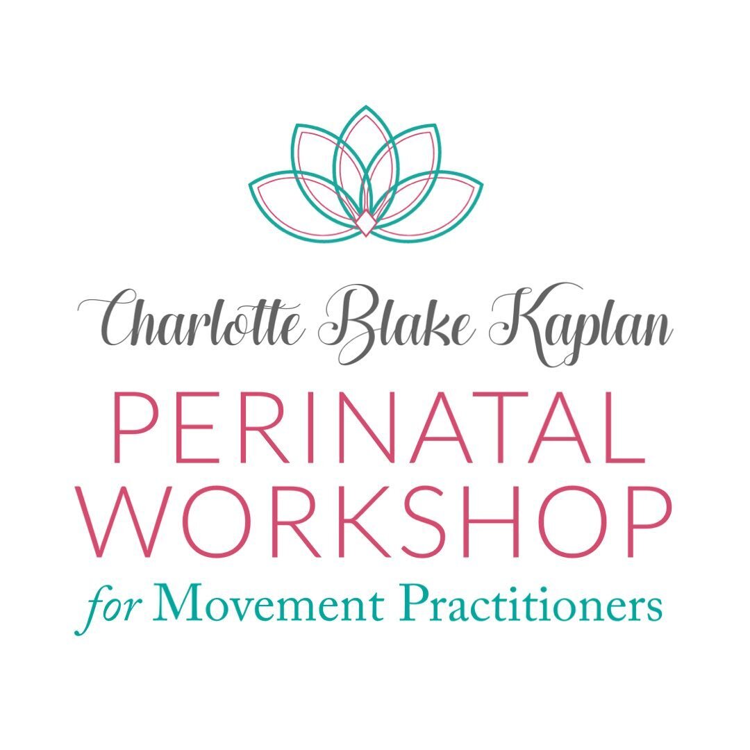 Calling all teachers! Join me on June 4th and 5th. 

If you have ever felt fearful or confused when working with a prenatal or postpartum client, this workshop is for you. 

Let&rsquo;s co-create a safe space for perinatal people to thrive and feel c