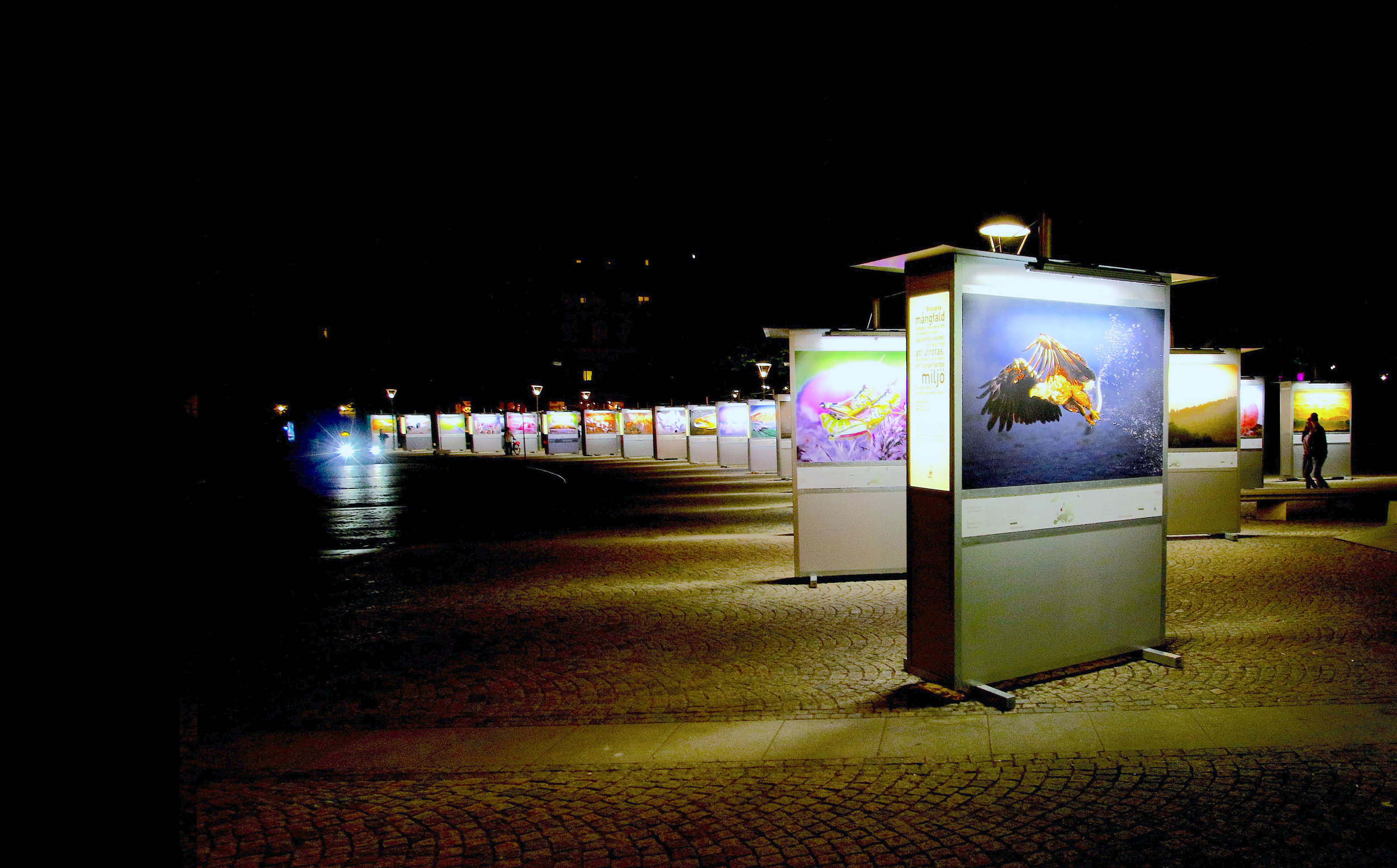  Midnight art exhibit - Stockholm 