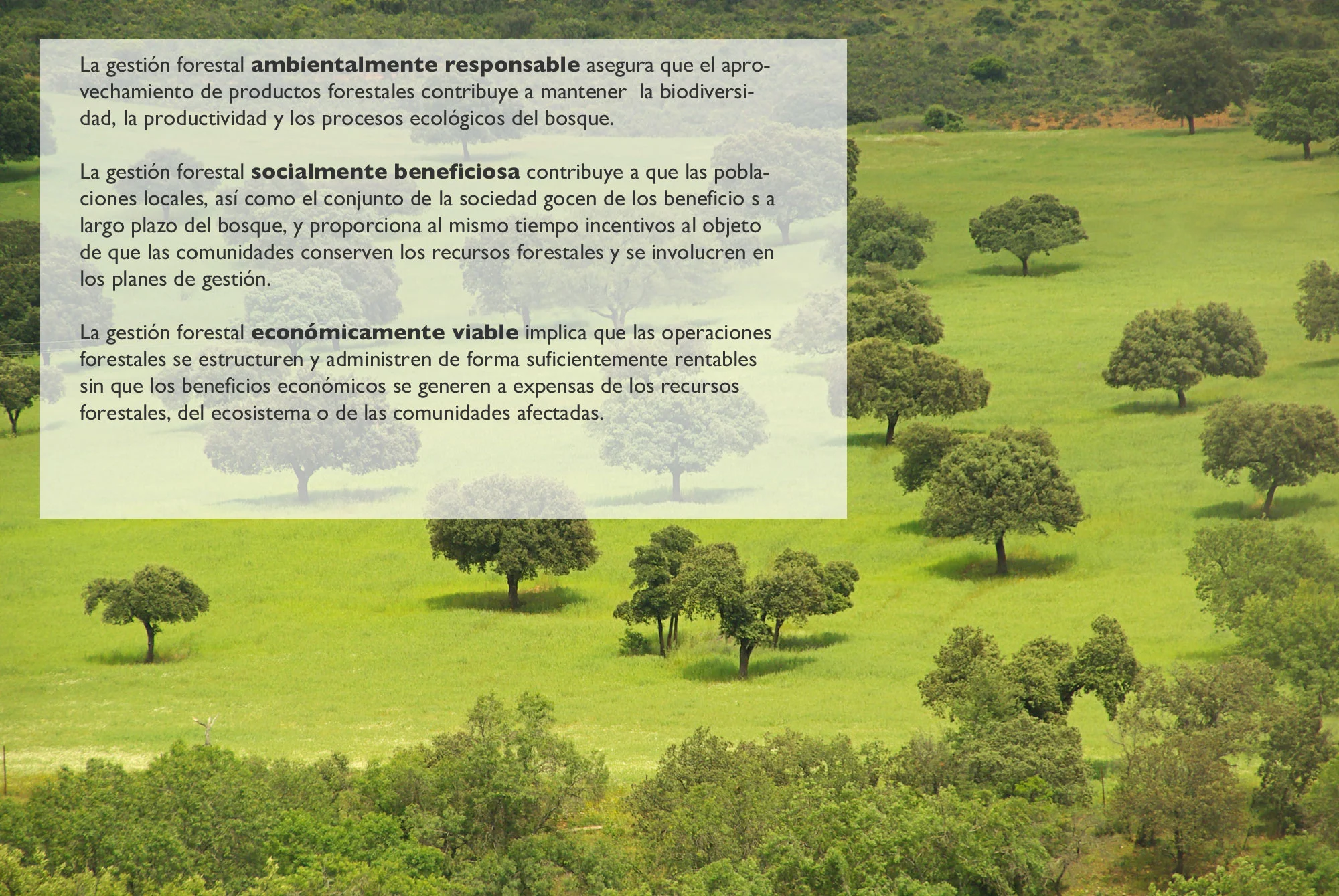 grafic_bosc_esp.jpg