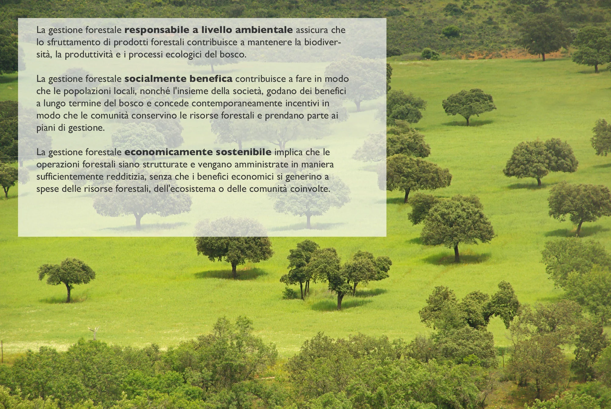 grafic_bosc_ita.jpg
