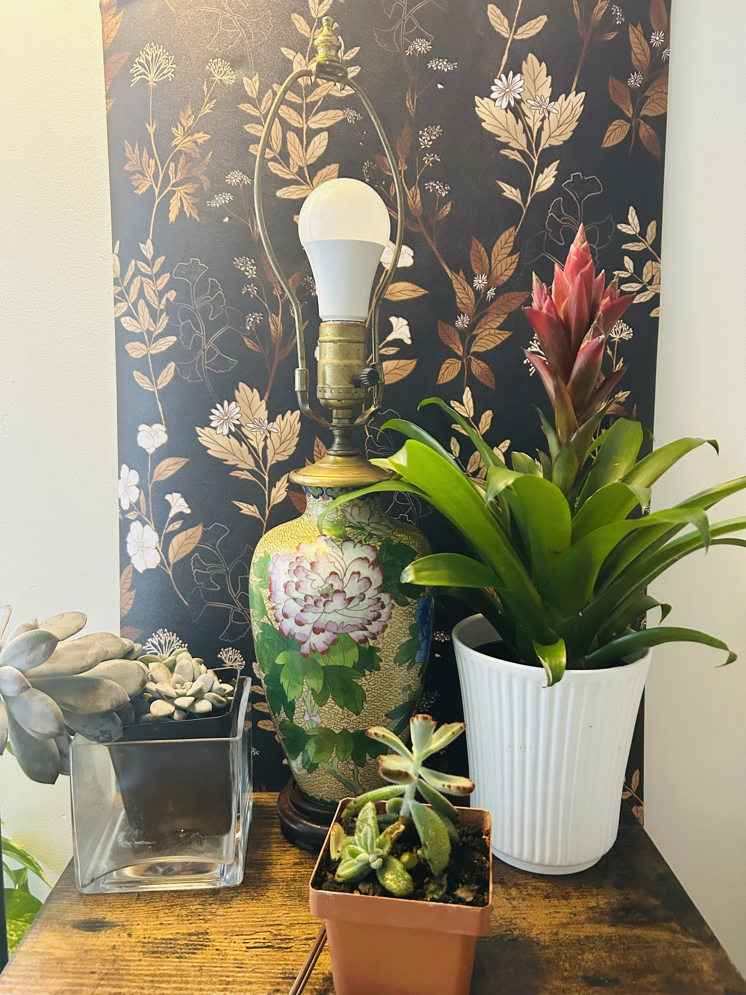 FullSizeRender 3.jpeg