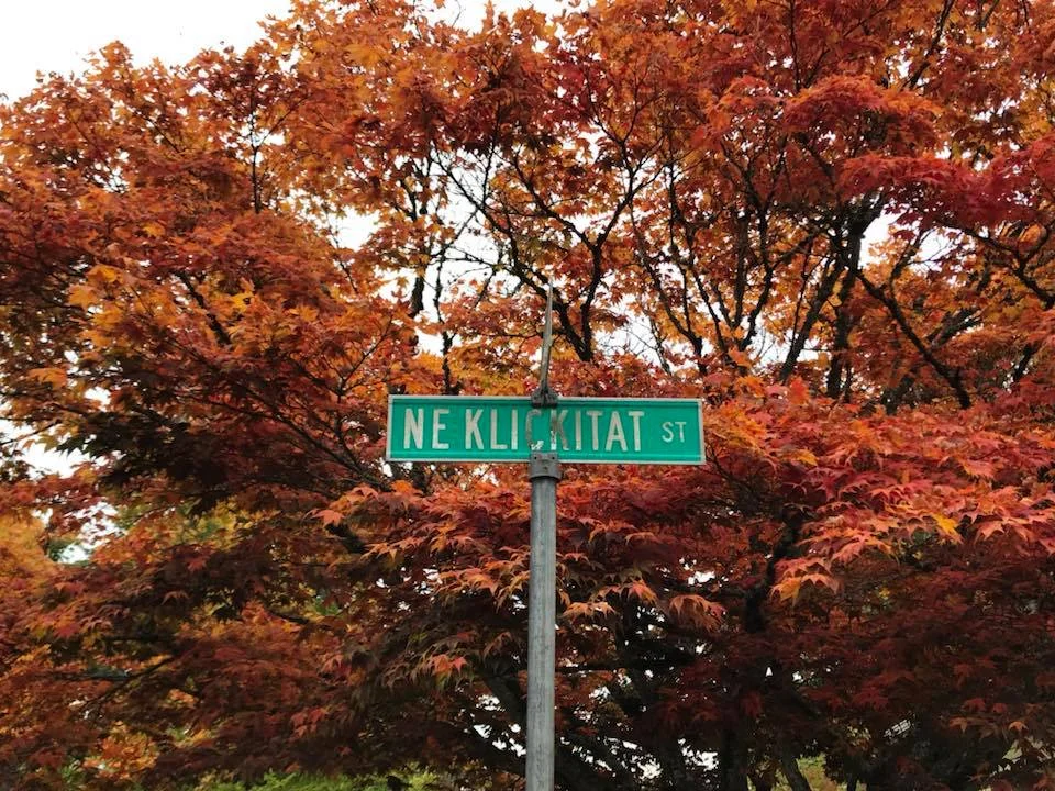 Fall is beautiful on the tree lined streets of Alameda