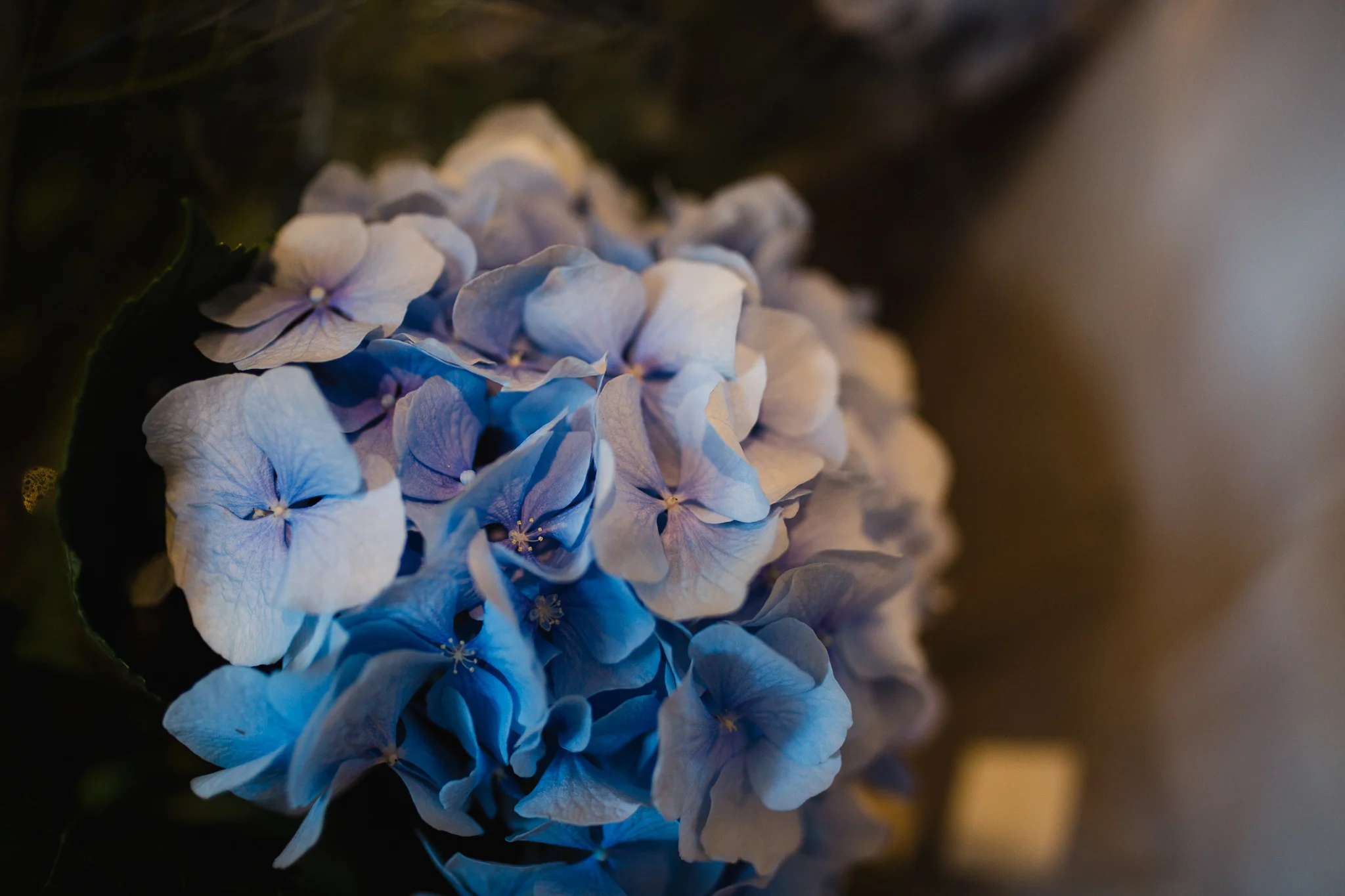 Bridesmaid flower bouquet