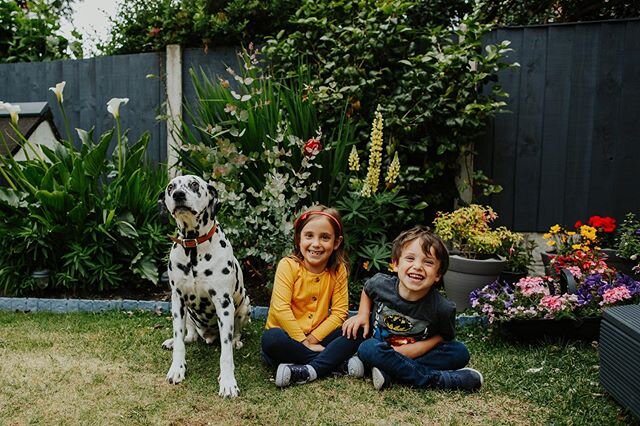 Had so many dogs join in on the door step shoots with their families. And this guy in particular was a natural in front of the camera and of course the little ones were too! 🐶🌺 #southportphotographer #formbyphotographer #prestonphotographer #lancas