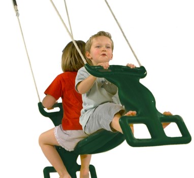 Tandem Horse Swing