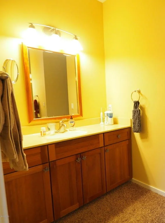 BEFORE- Master Bathroom