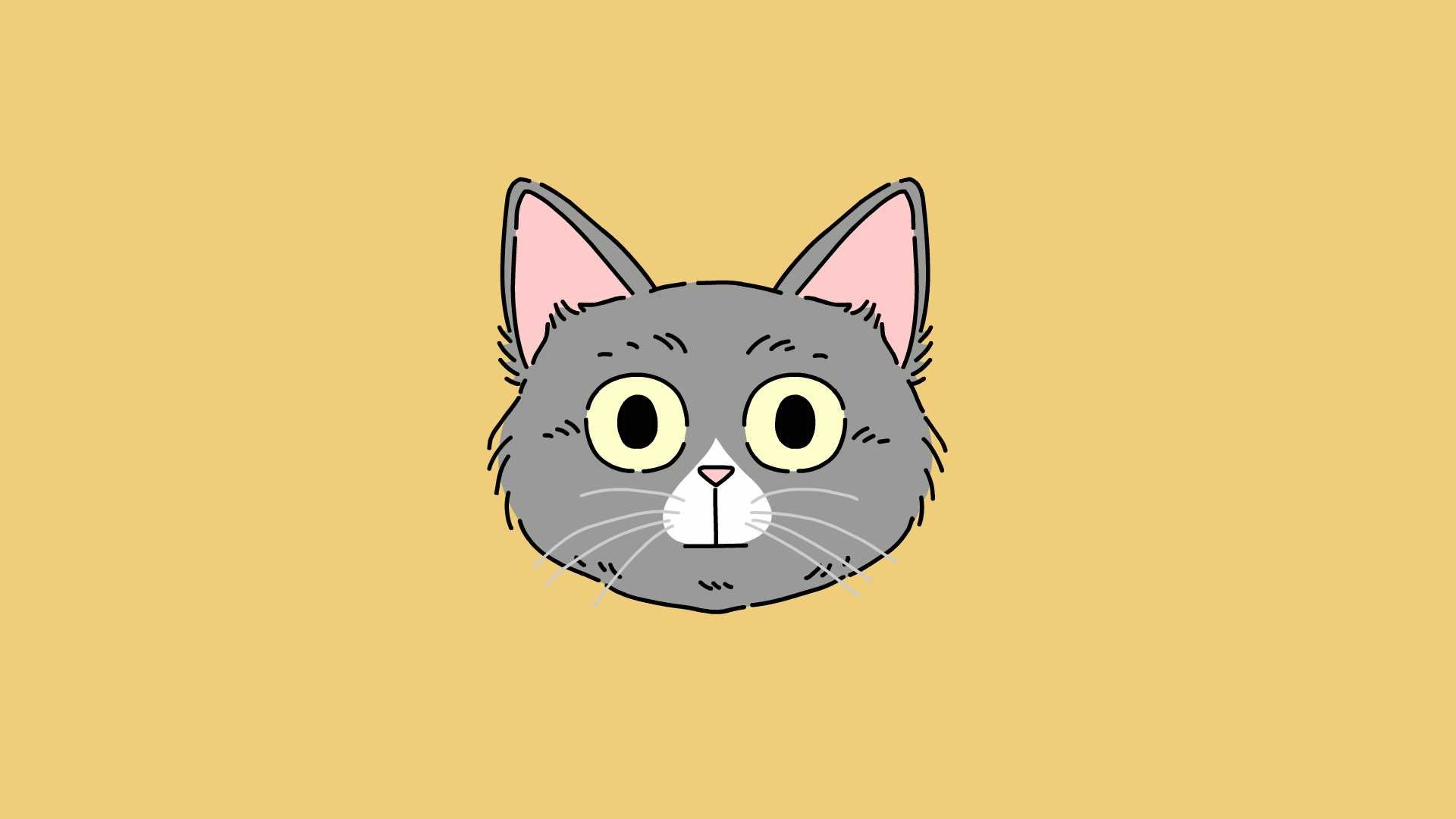 cat_expressions_01.jpg