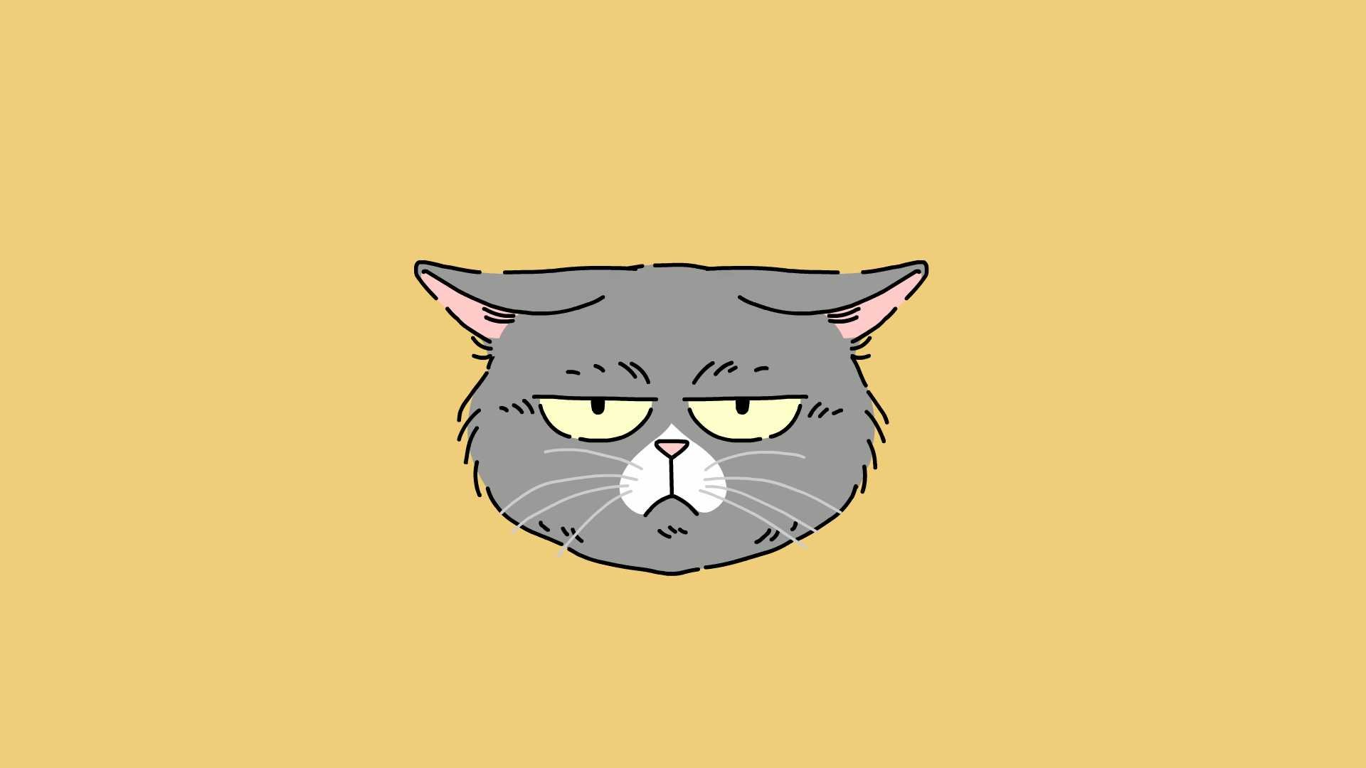 cat_expressions_02.jpg