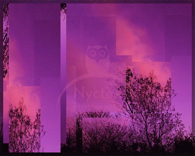 square canvas sunsets.jpg