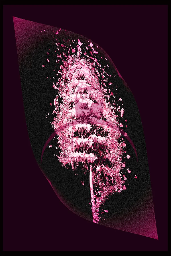 square purpleburren.jpg