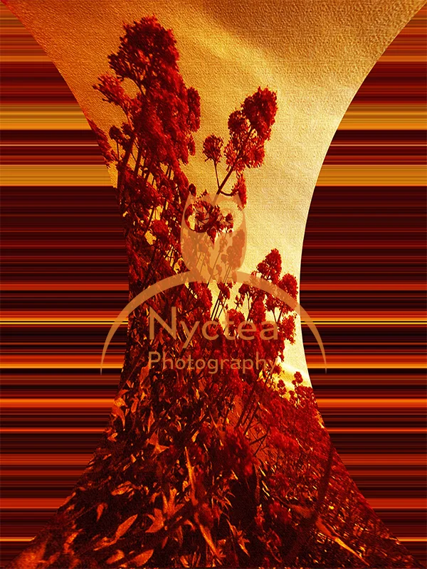 square Untitled-1.jpg