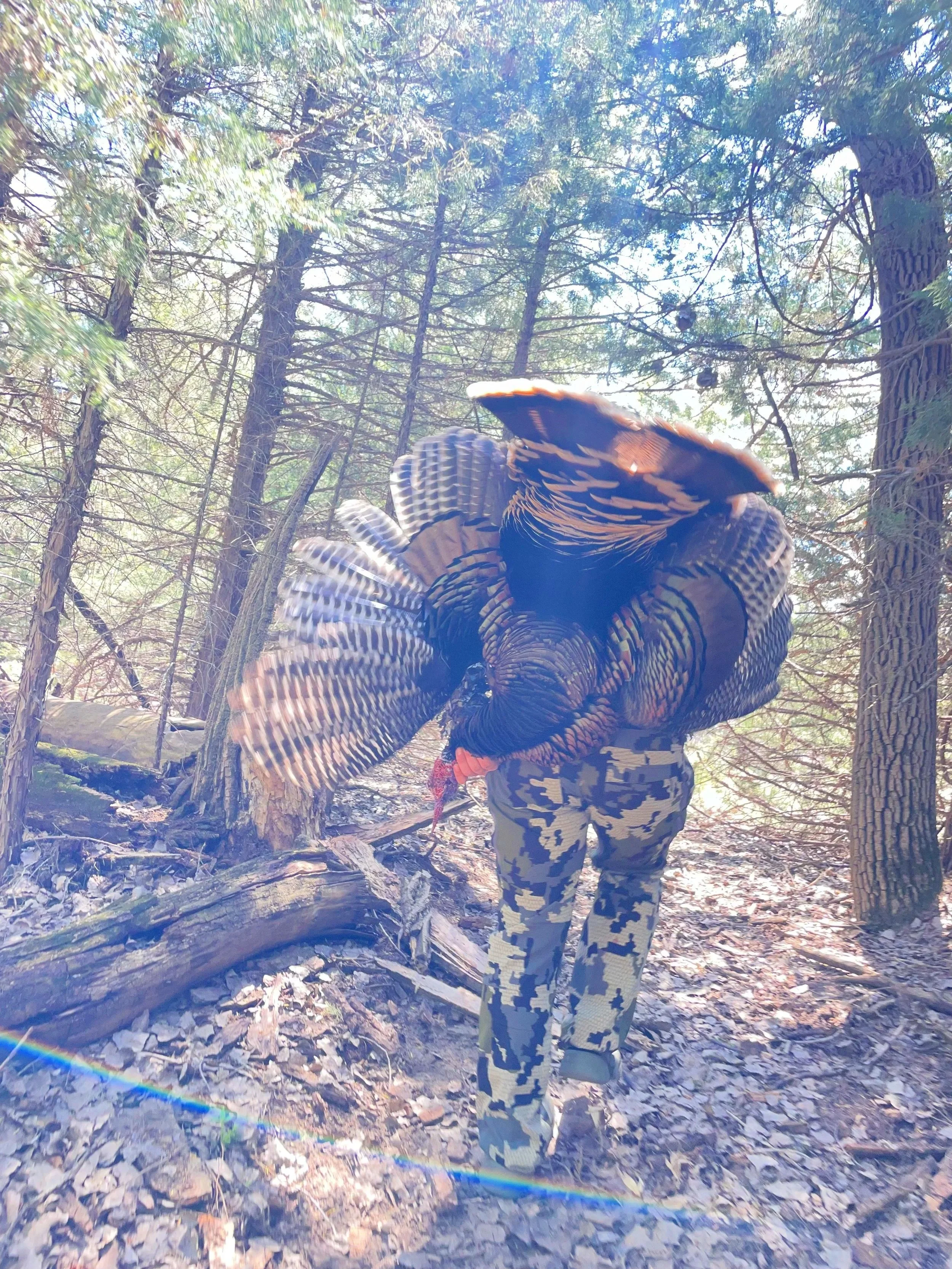 Spring Turkey 2027-2028