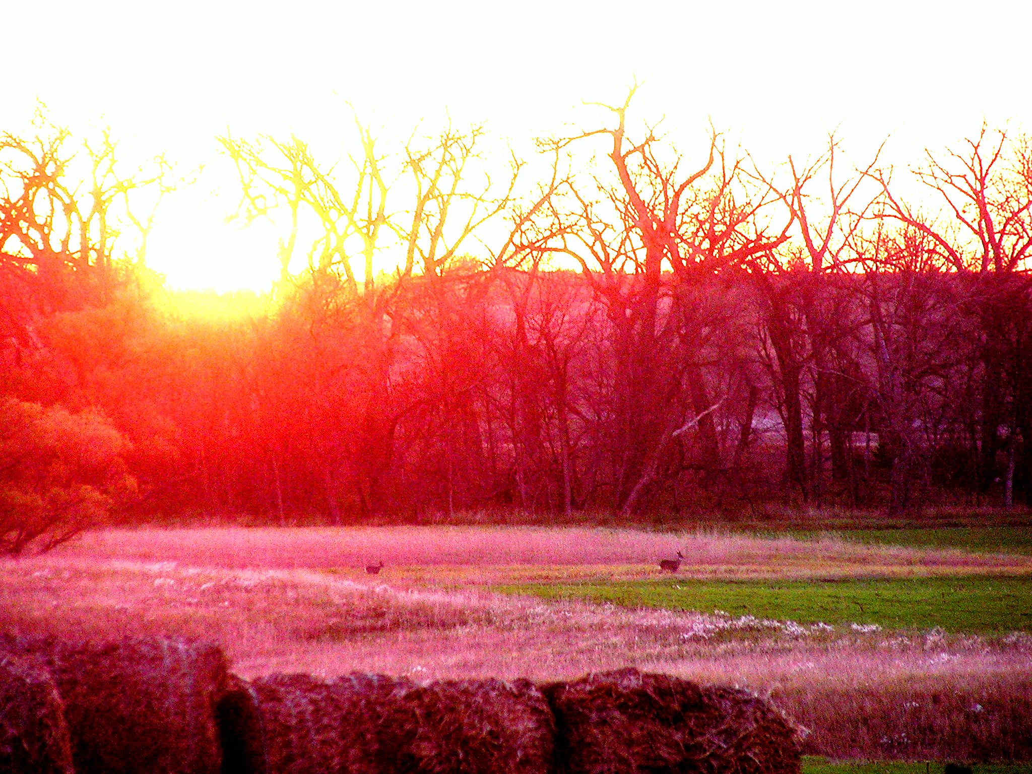 Picture 157.jpg