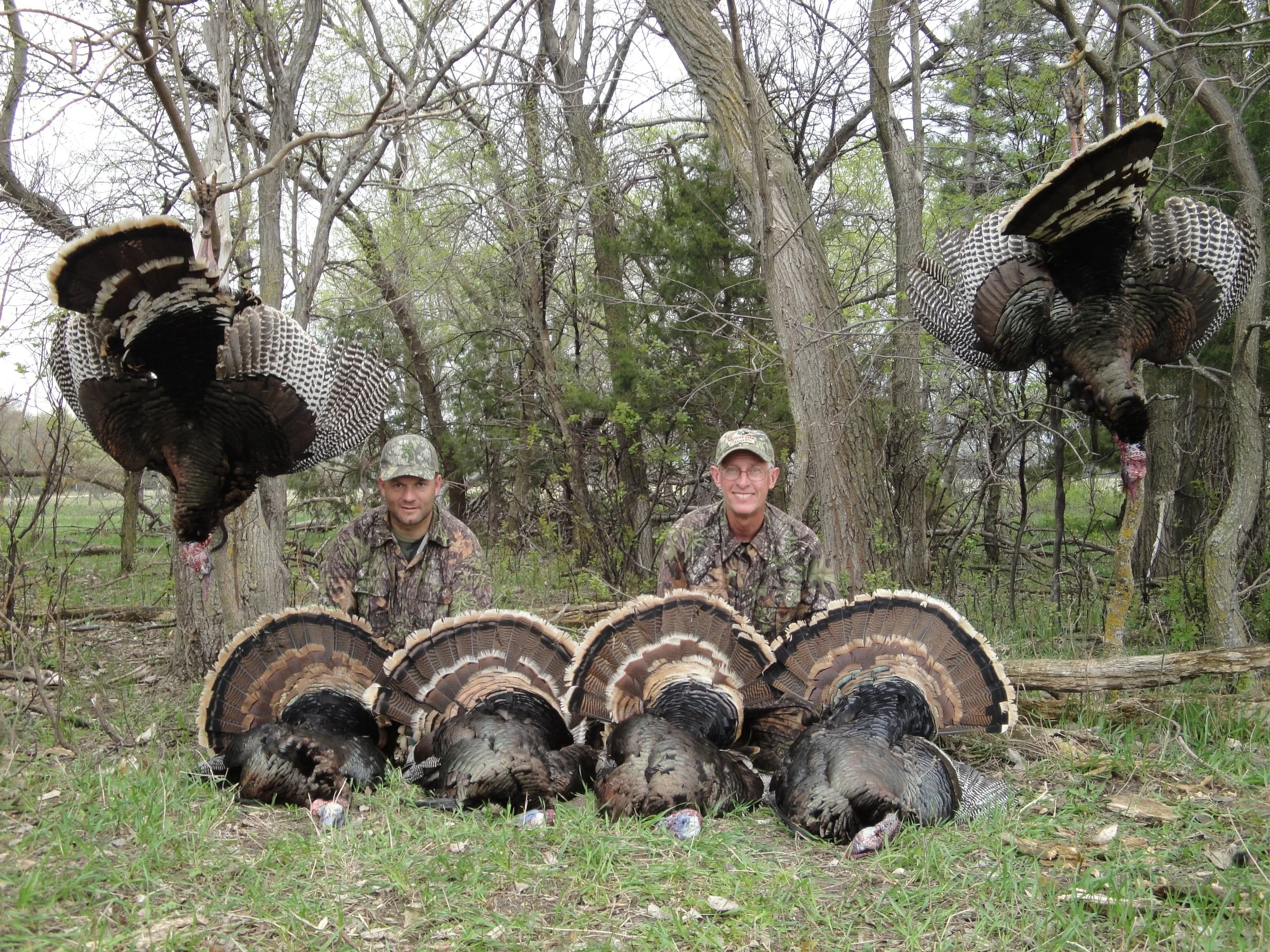 york_houser2010.jpg