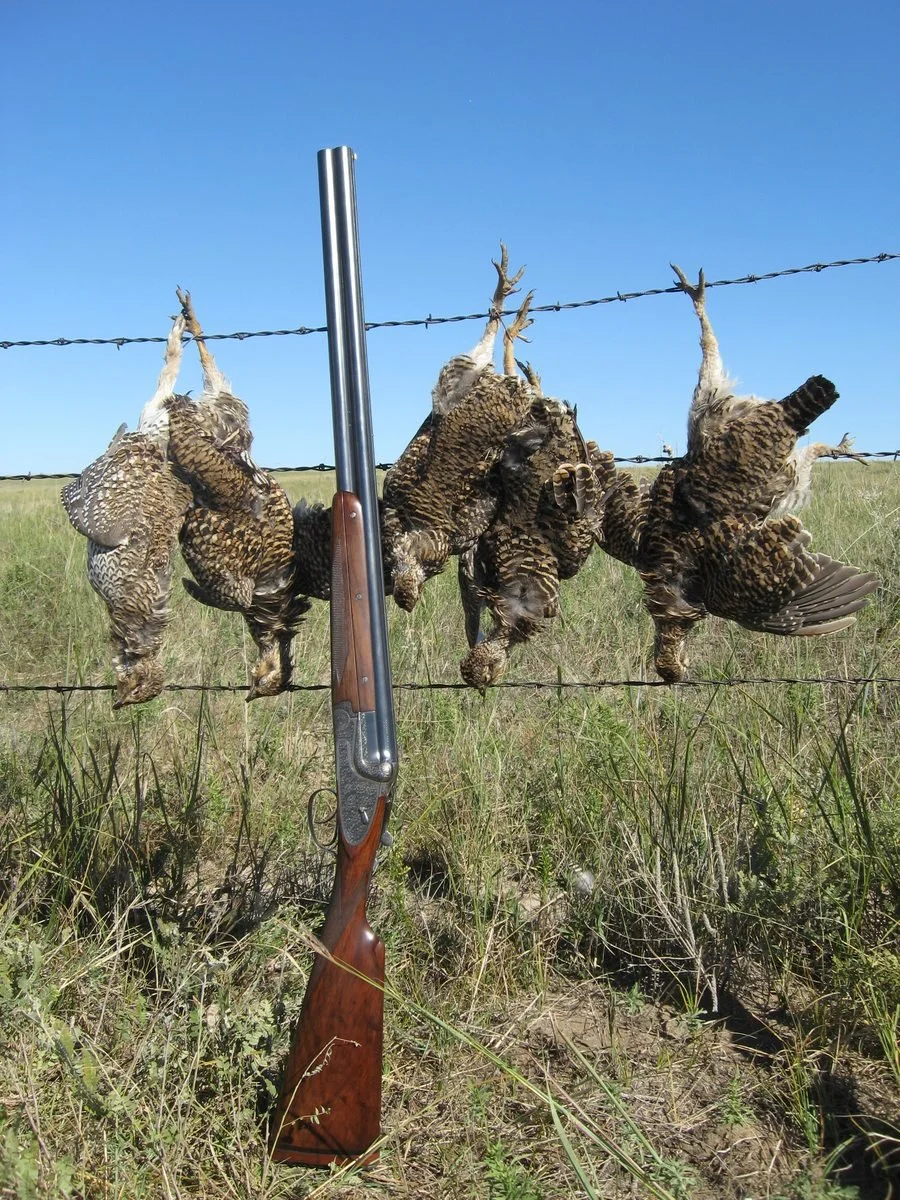 wing_shooting_2008_029.jpg