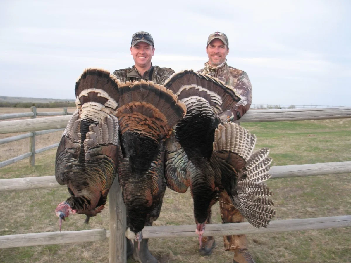 cox_brion_turkey.jpg