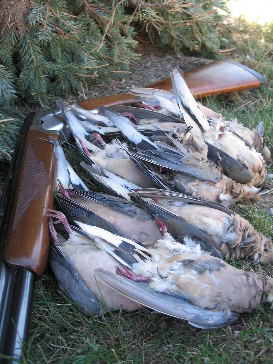 IMG_2090.jpg